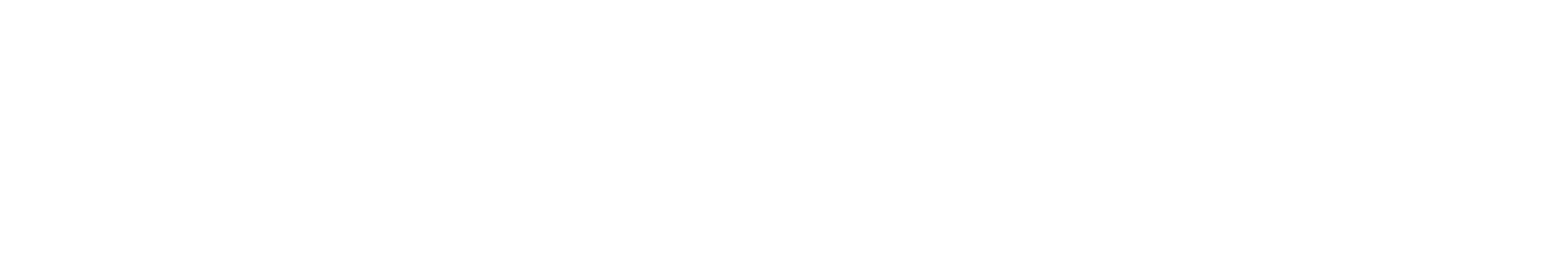 Beewise text banner no numbers